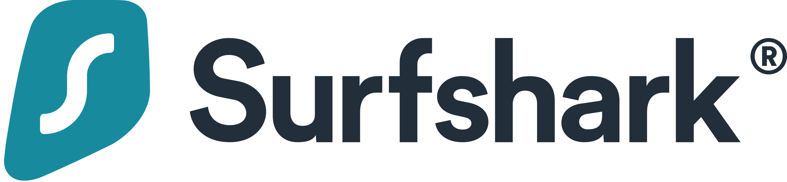 SURFSHARK VPN